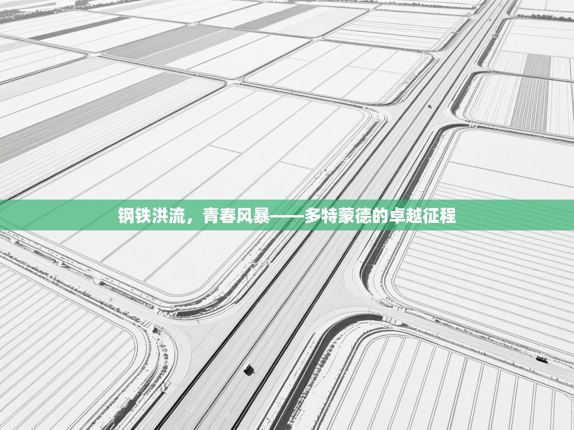 钢铁洪流，青春风暴——多特蒙德的卓越征程  第2张