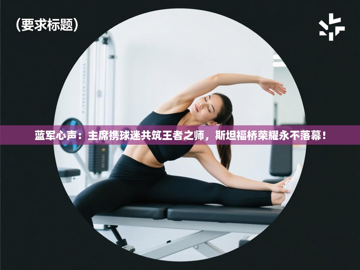 蓝军心声：主席携球迷共筑王者之师，斯坦福桥荣耀永不落幕！  第2张