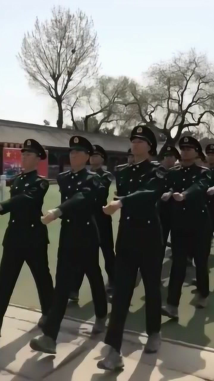 关于悍狼队气势如虹，全面进攻防守击溃对手的信息